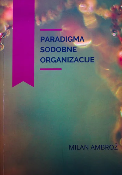 Cover: The Paradigm of the Modern Organization