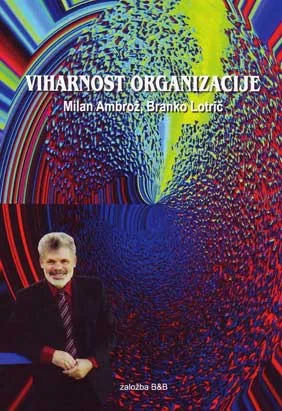 Cover: The Turbulent Organization