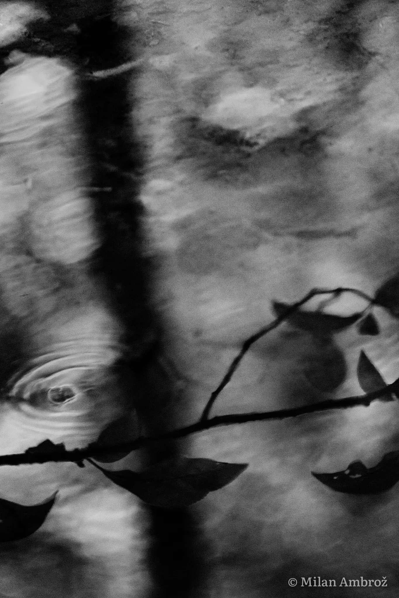 Black and white, photograph 1