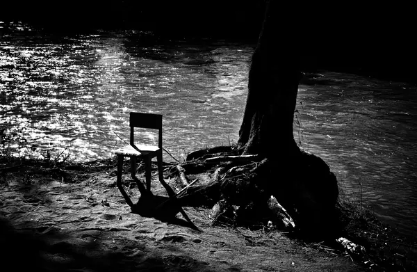 Black and white, photograph 8