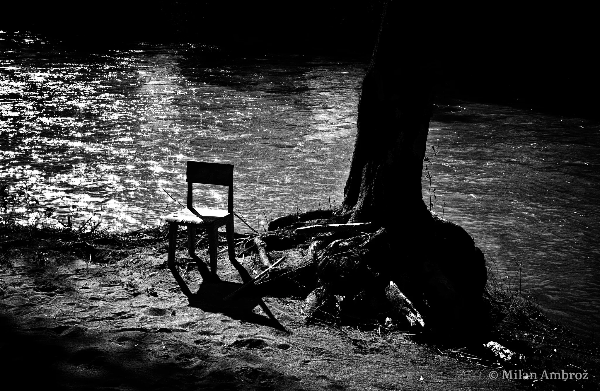 Black and white, photograph 8