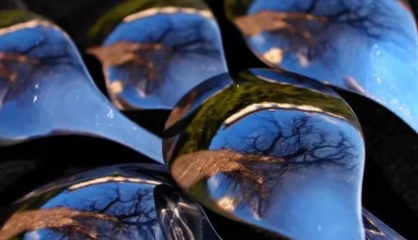 Macro, photograph 7
