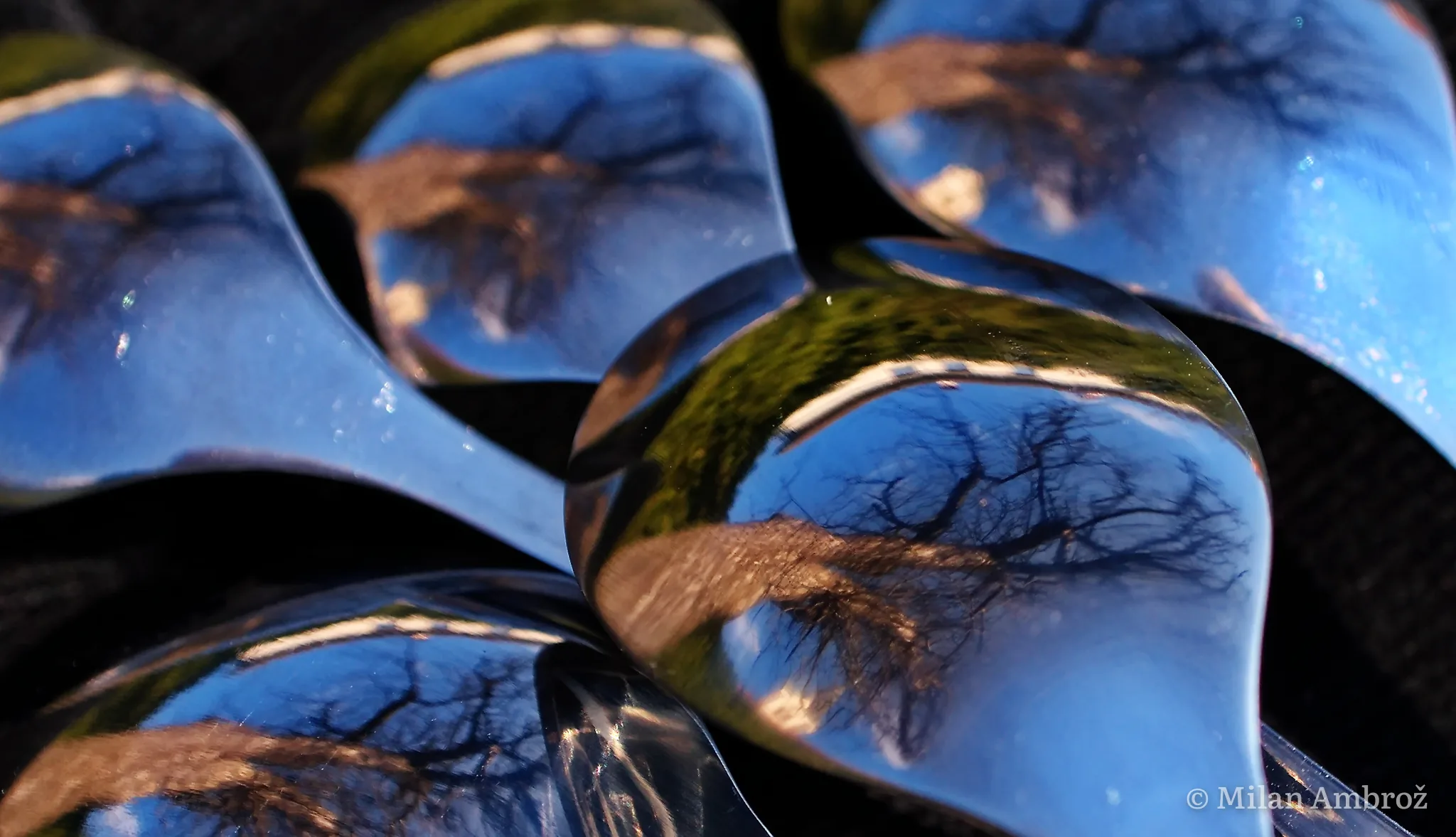 Macro, photograph 7