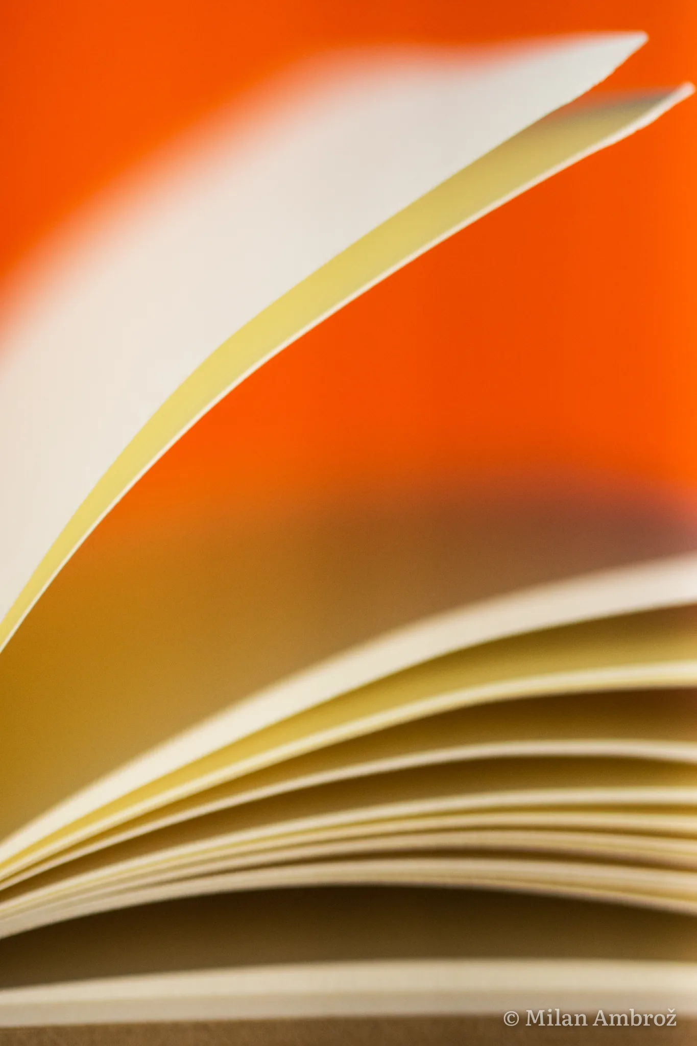 Pages