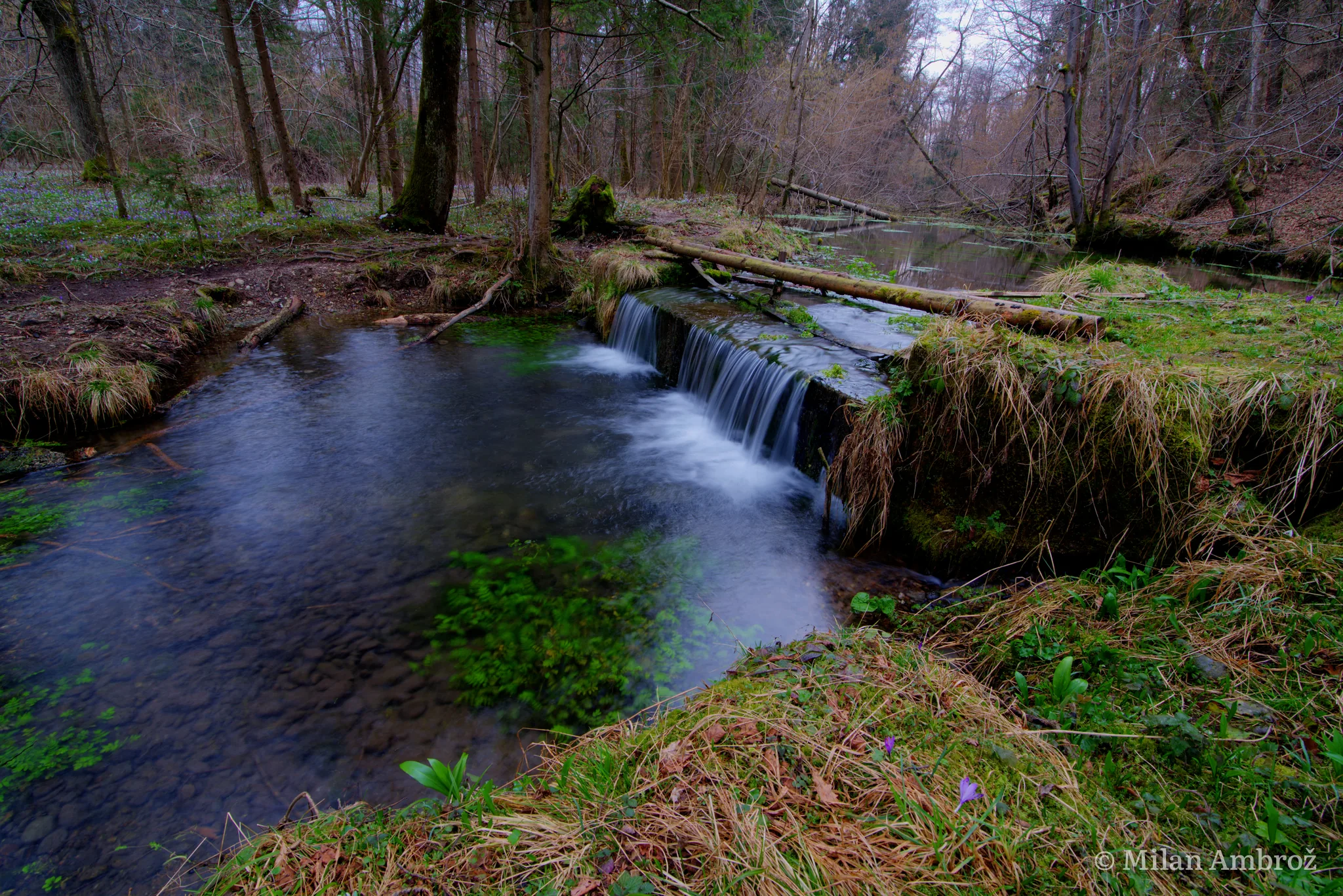 Nature, photograph 4