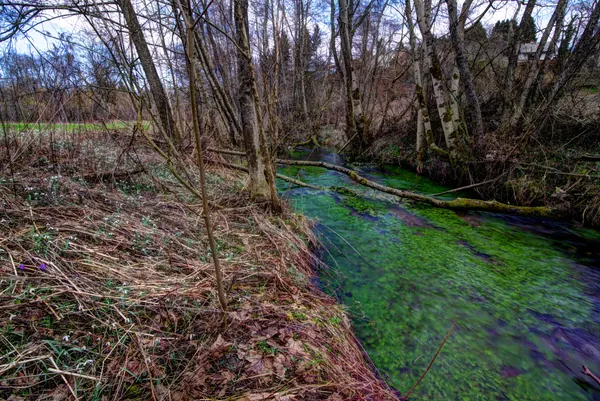 Nature, photograph 6