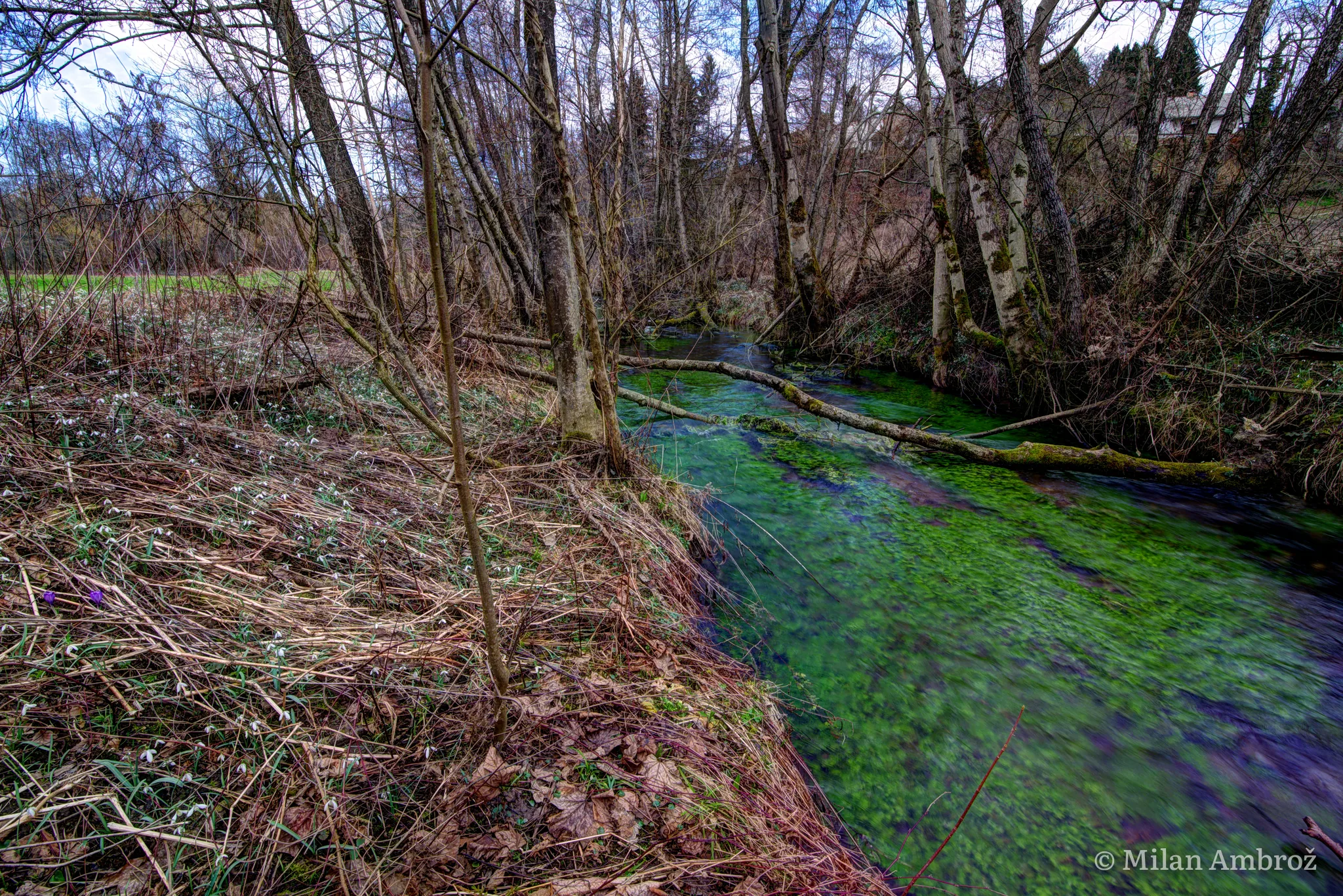 Nature, photograph 6