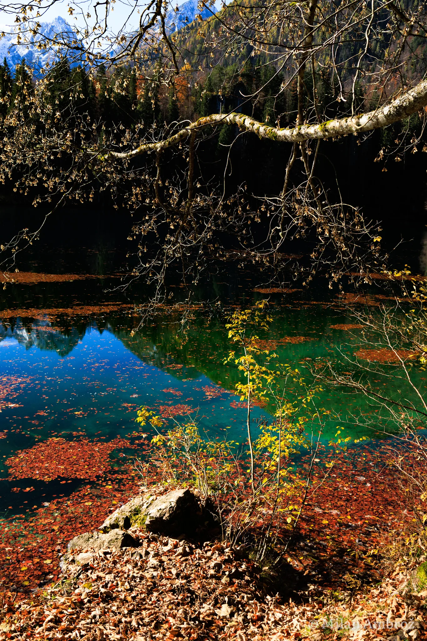 Jezero