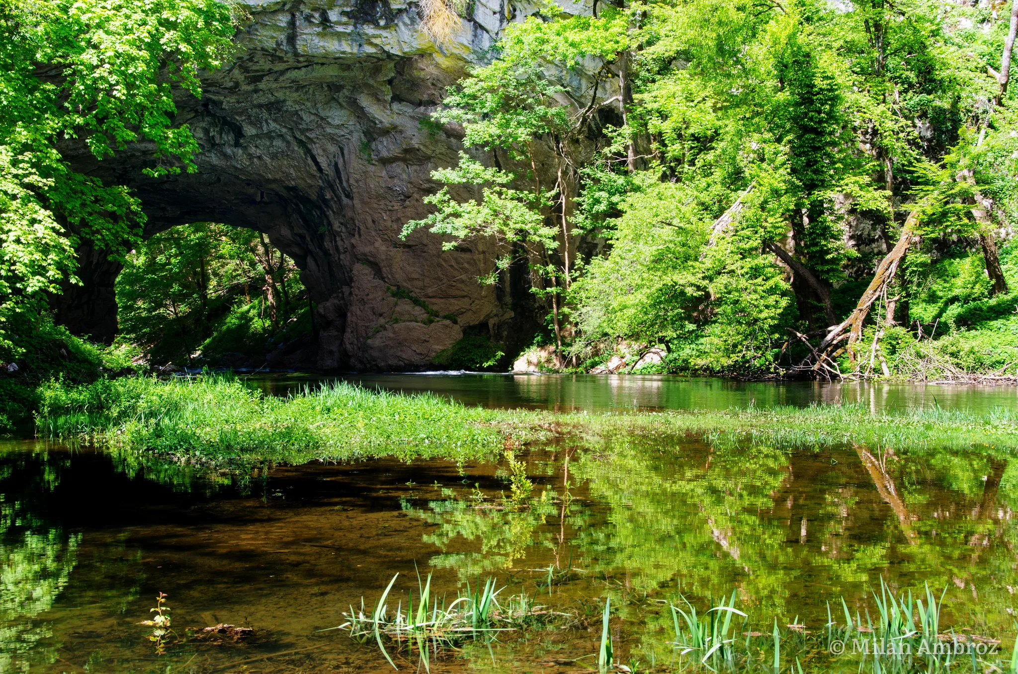 Cerbridge