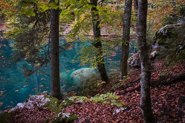 Landscape, photograph 2