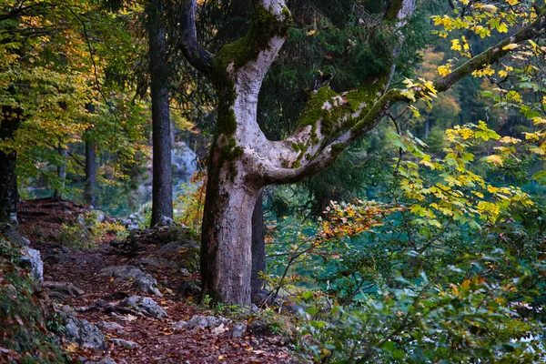 Landscape, photograph 3