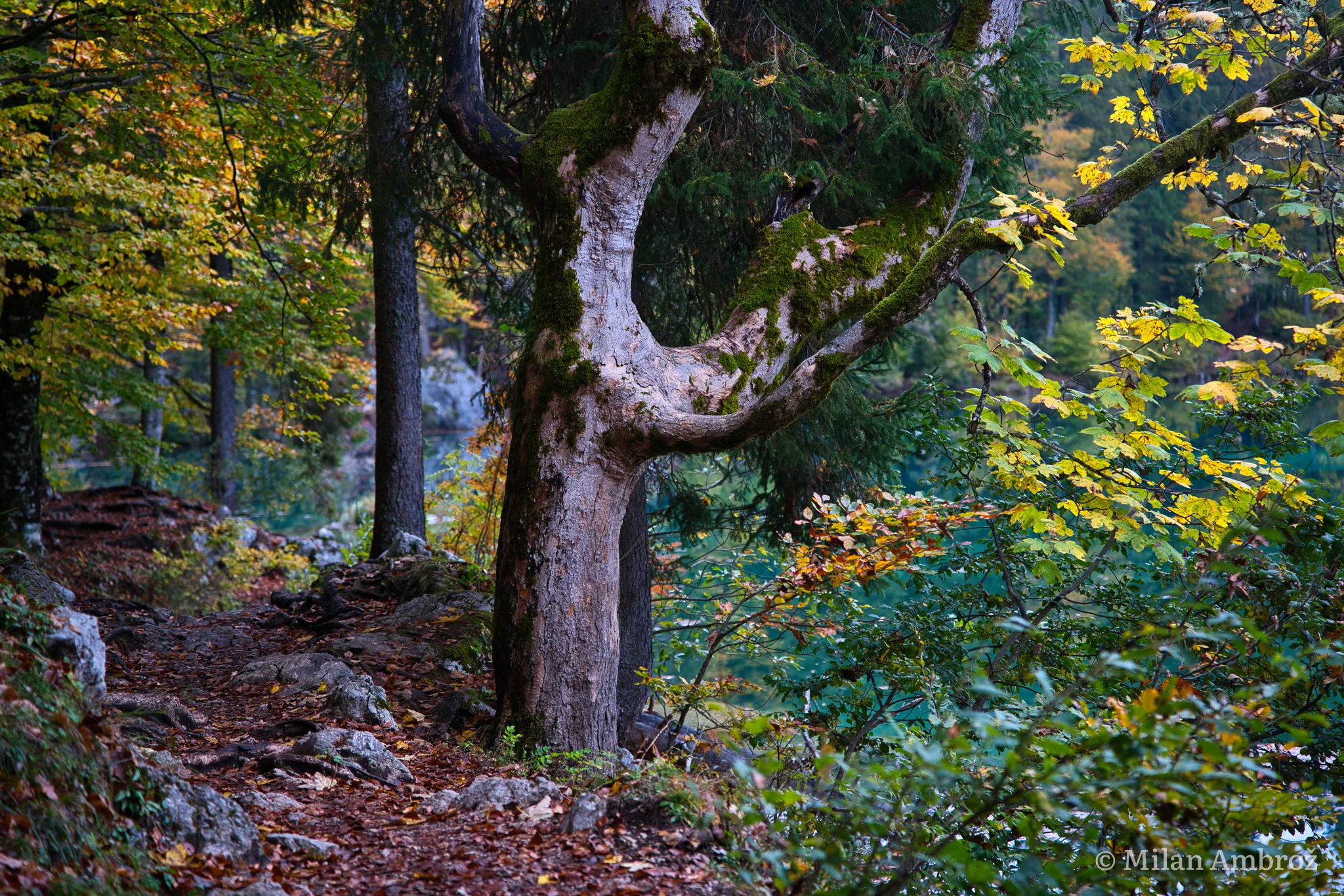 Pokrajina, fotografija 3