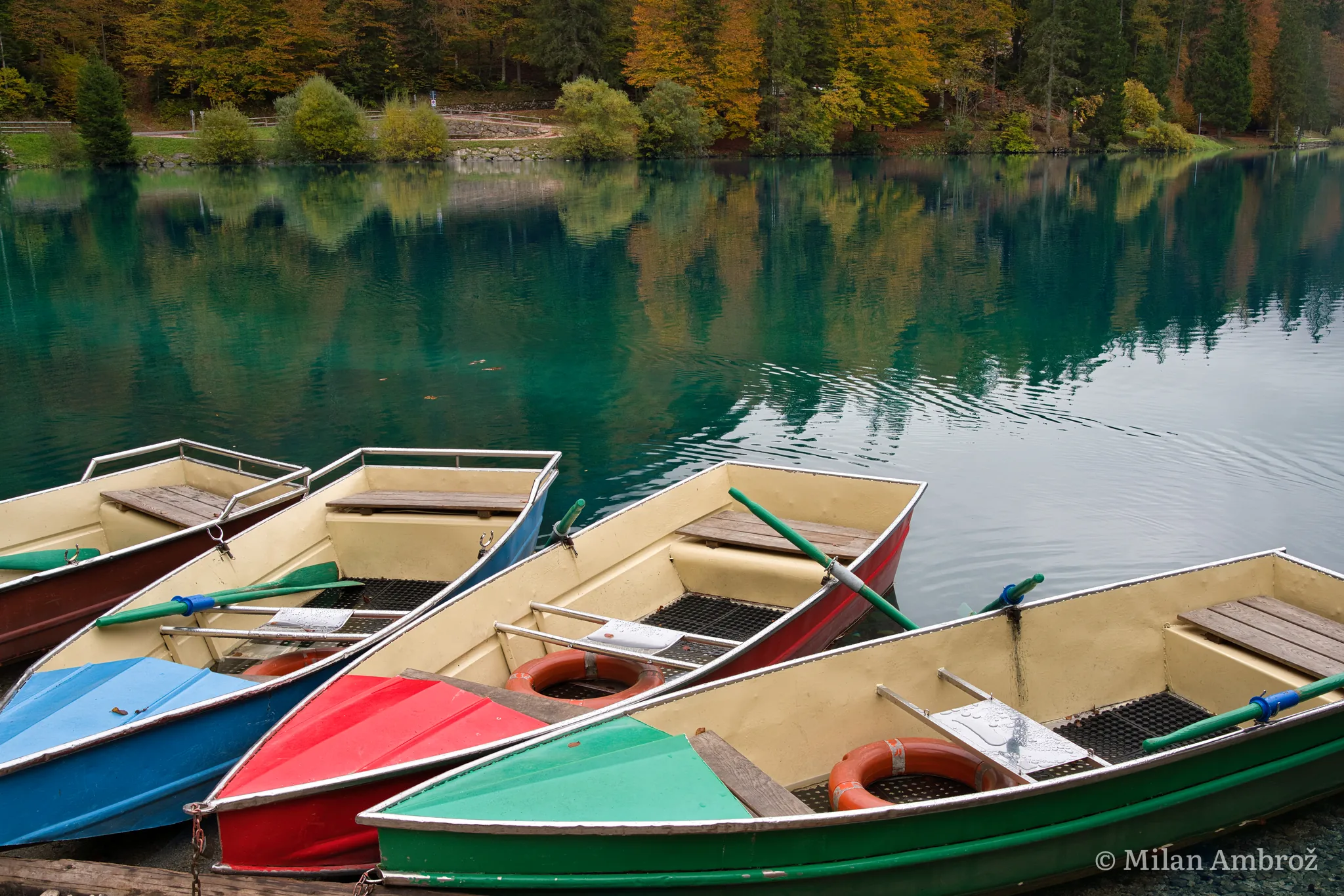 Pokrajina, fotografija 4