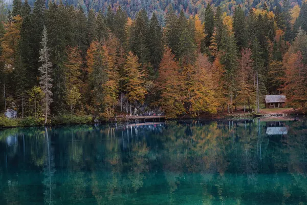 Landscape, photograph 6
